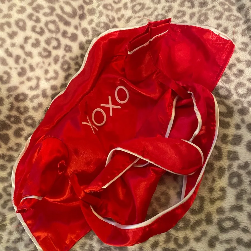Vibrant Red Cat/Kitten Apparel